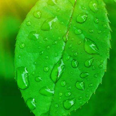 南宫体育app下载下载手机版